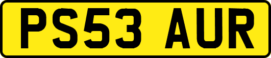 PS53AUR