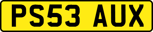 PS53AUX