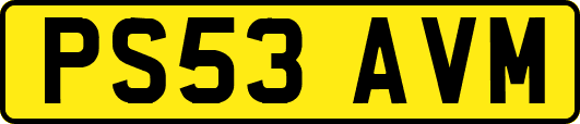PS53AVM