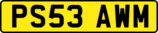 PS53AWM