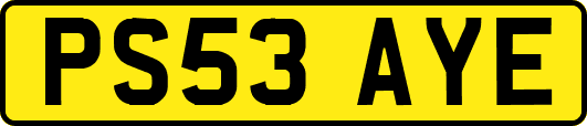 PS53AYE