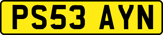 PS53AYN