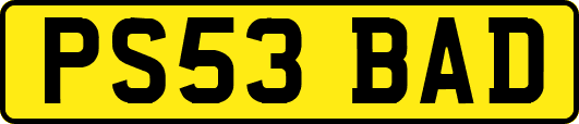 PS53BAD