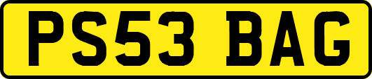 PS53BAG