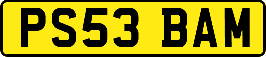 PS53BAM