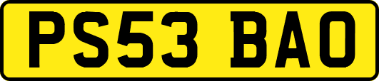 PS53BAO