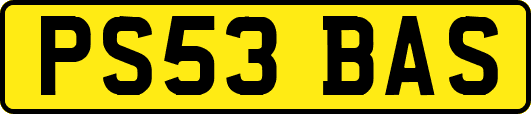 PS53BAS