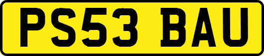 PS53BAU