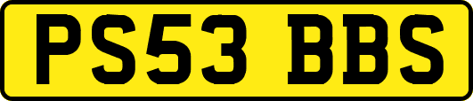 PS53BBS