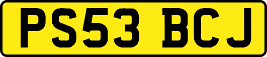 PS53BCJ