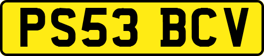 PS53BCV