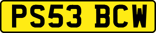 PS53BCW