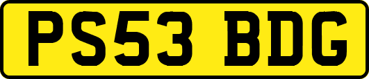 PS53BDG