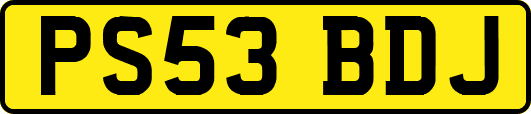 PS53BDJ