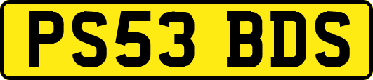 PS53BDS