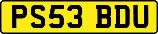 PS53BDU