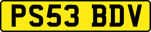 PS53BDV