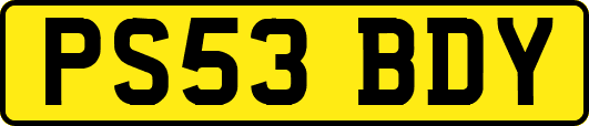 PS53BDY