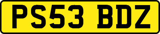 PS53BDZ