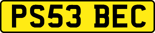 PS53BEC