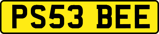 PS53BEE