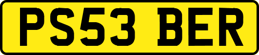 PS53BER