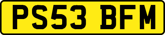 PS53BFM