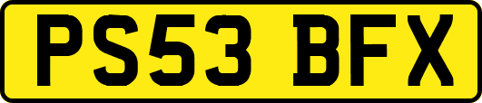 PS53BFX