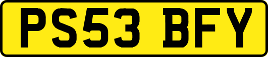 PS53BFY