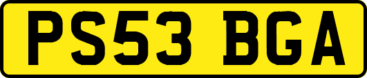 PS53BGA
