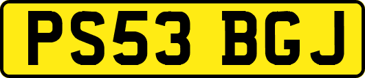 PS53BGJ