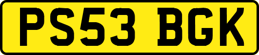 PS53BGK