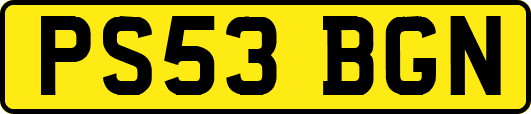PS53BGN