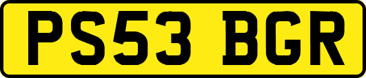 PS53BGR