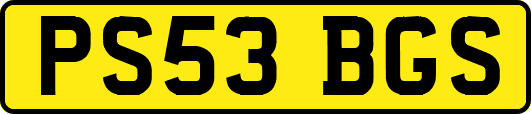 PS53BGS