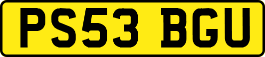 PS53BGU