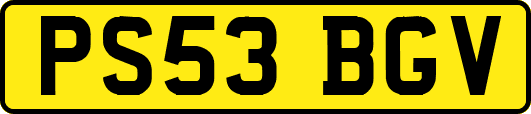 PS53BGV