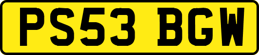 PS53BGW