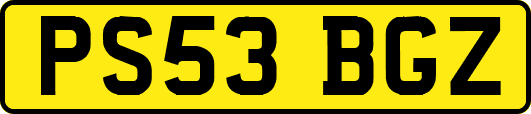 PS53BGZ