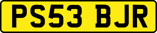 PS53BJR