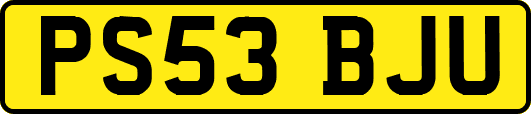 PS53BJU
