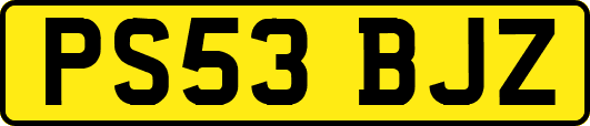 PS53BJZ