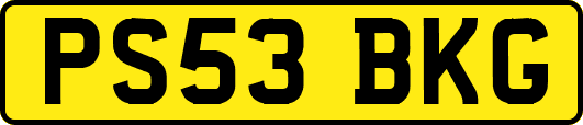 PS53BKG