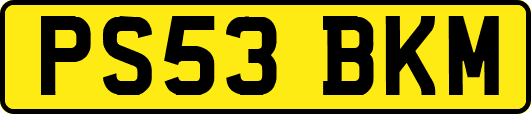 PS53BKM