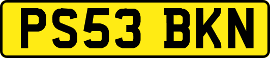 PS53BKN