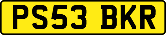 PS53BKR
