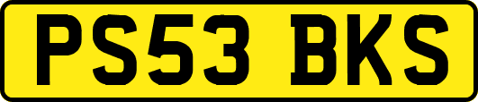 PS53BKS