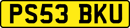 PS53BKU