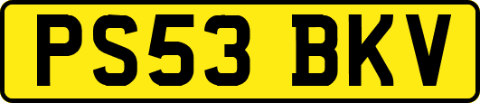 PS53BKV