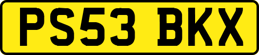 PS53BKX
